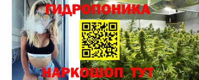 прущие крисы Гусь-Хрустальный