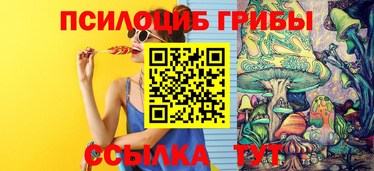 Псилоцибиновые грибы GOLDEN TEACHER Вятские Поляны